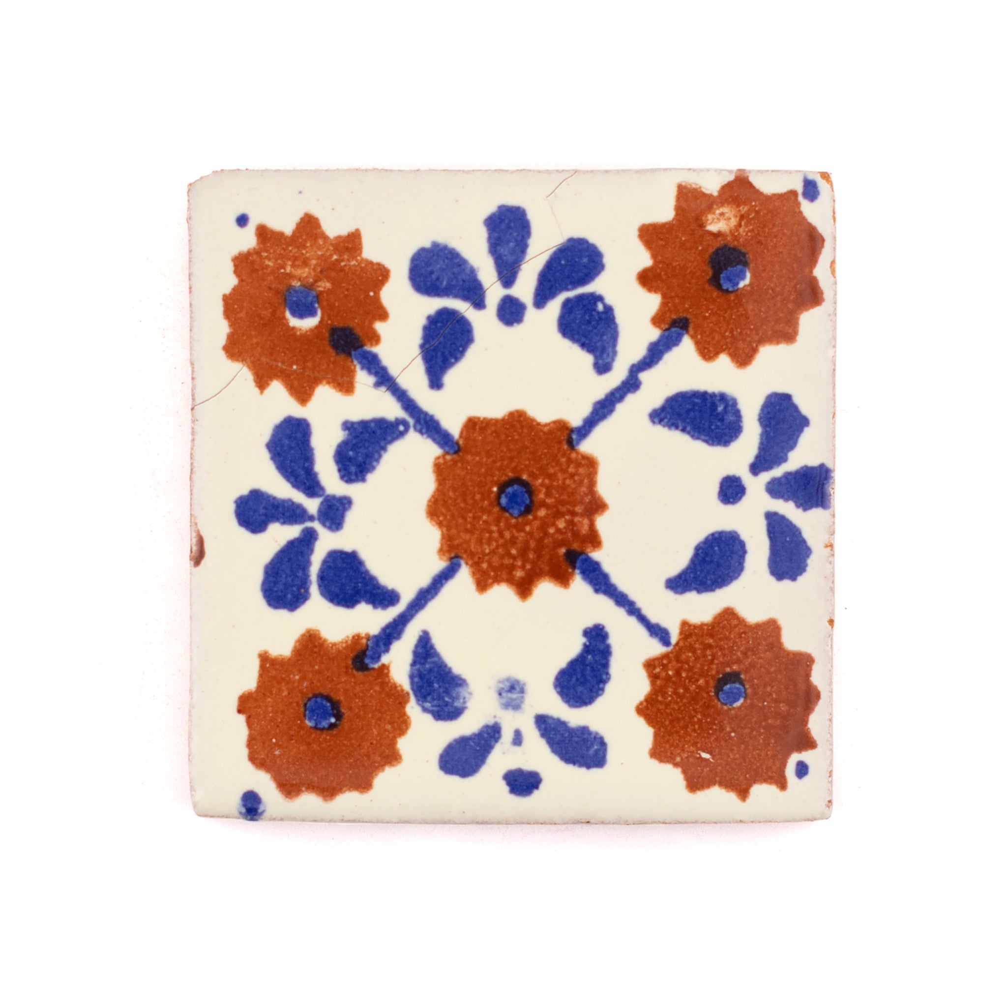 Margarita inset