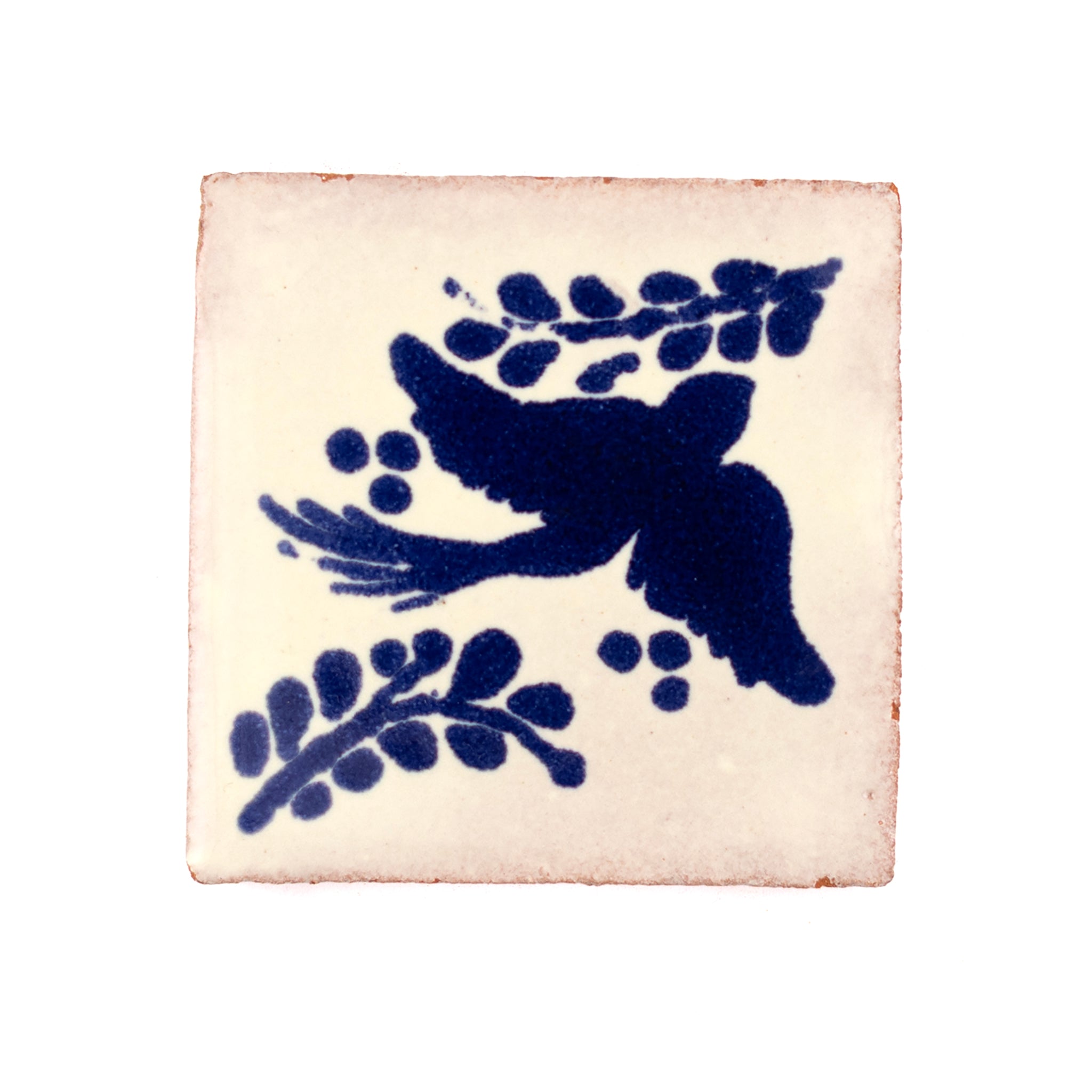 Paloma blue inset