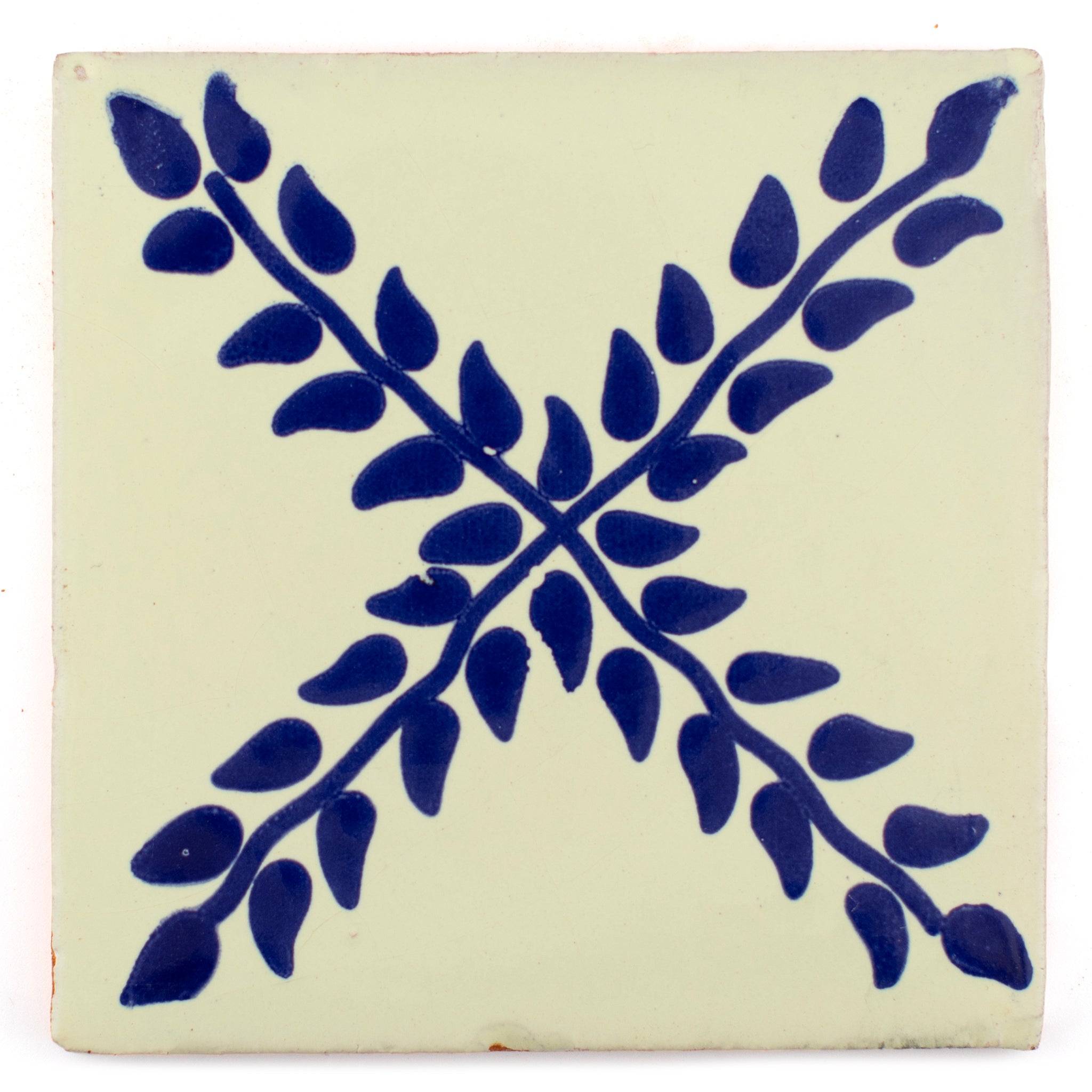 Arbour blue