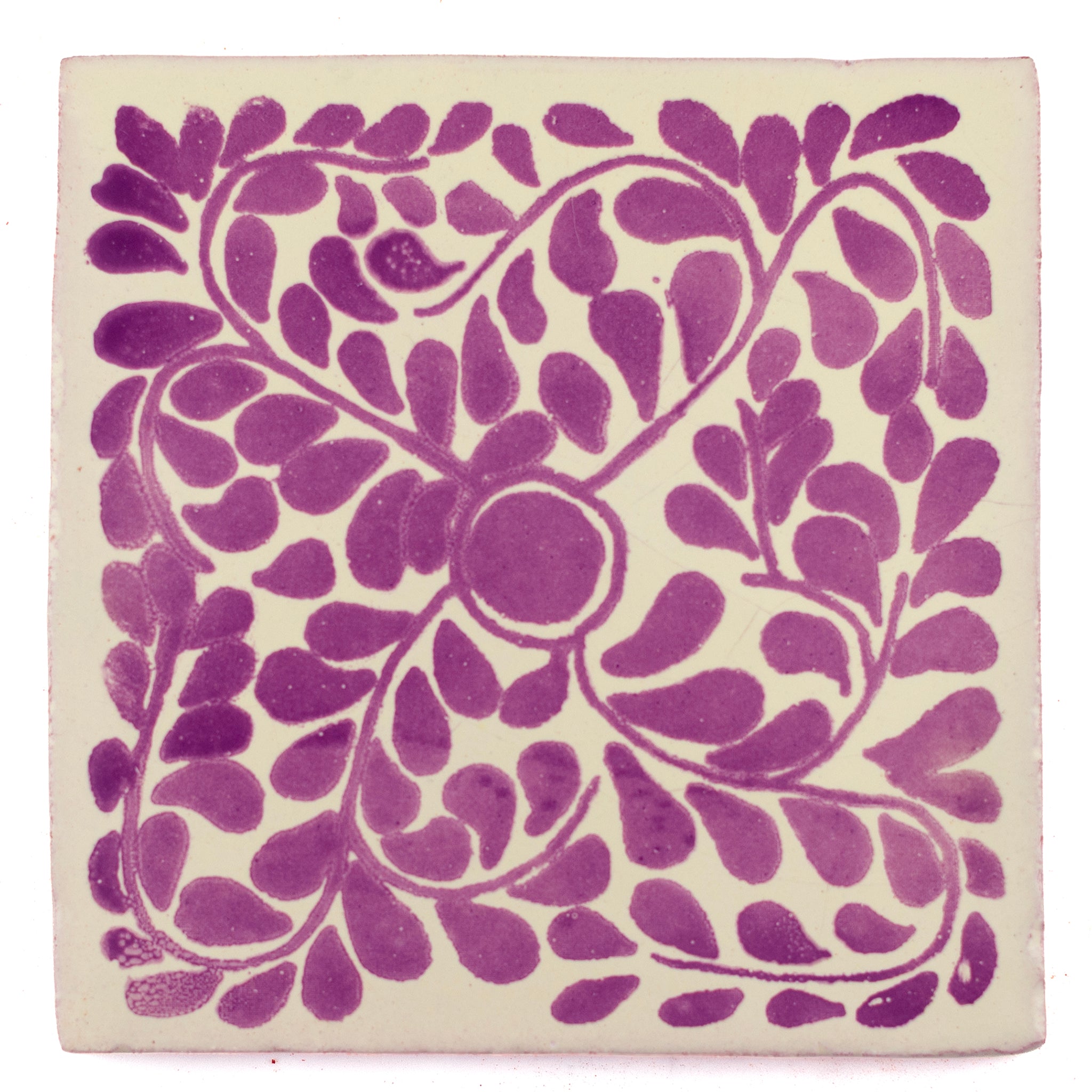 Capelo lilac