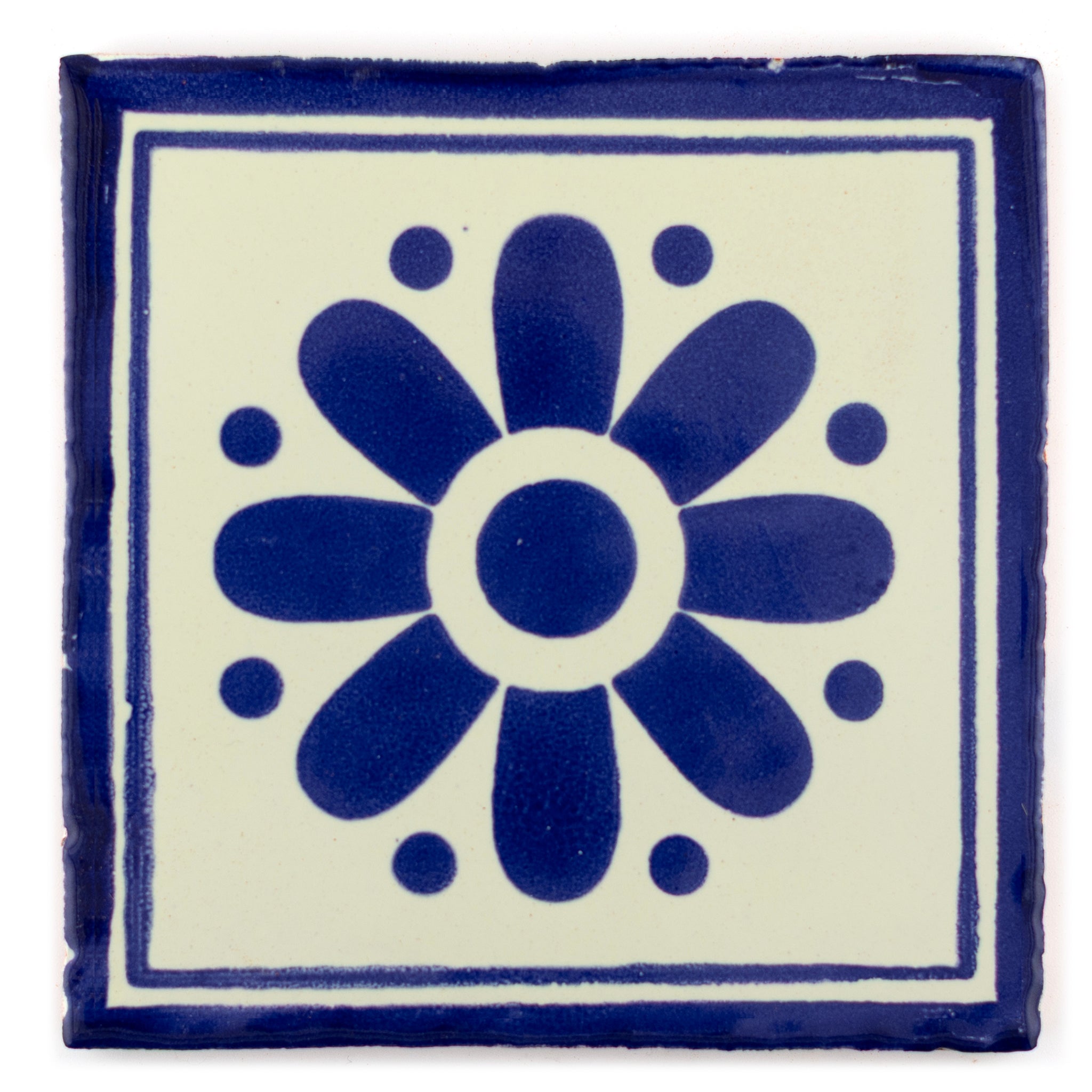 Daisy flower azul