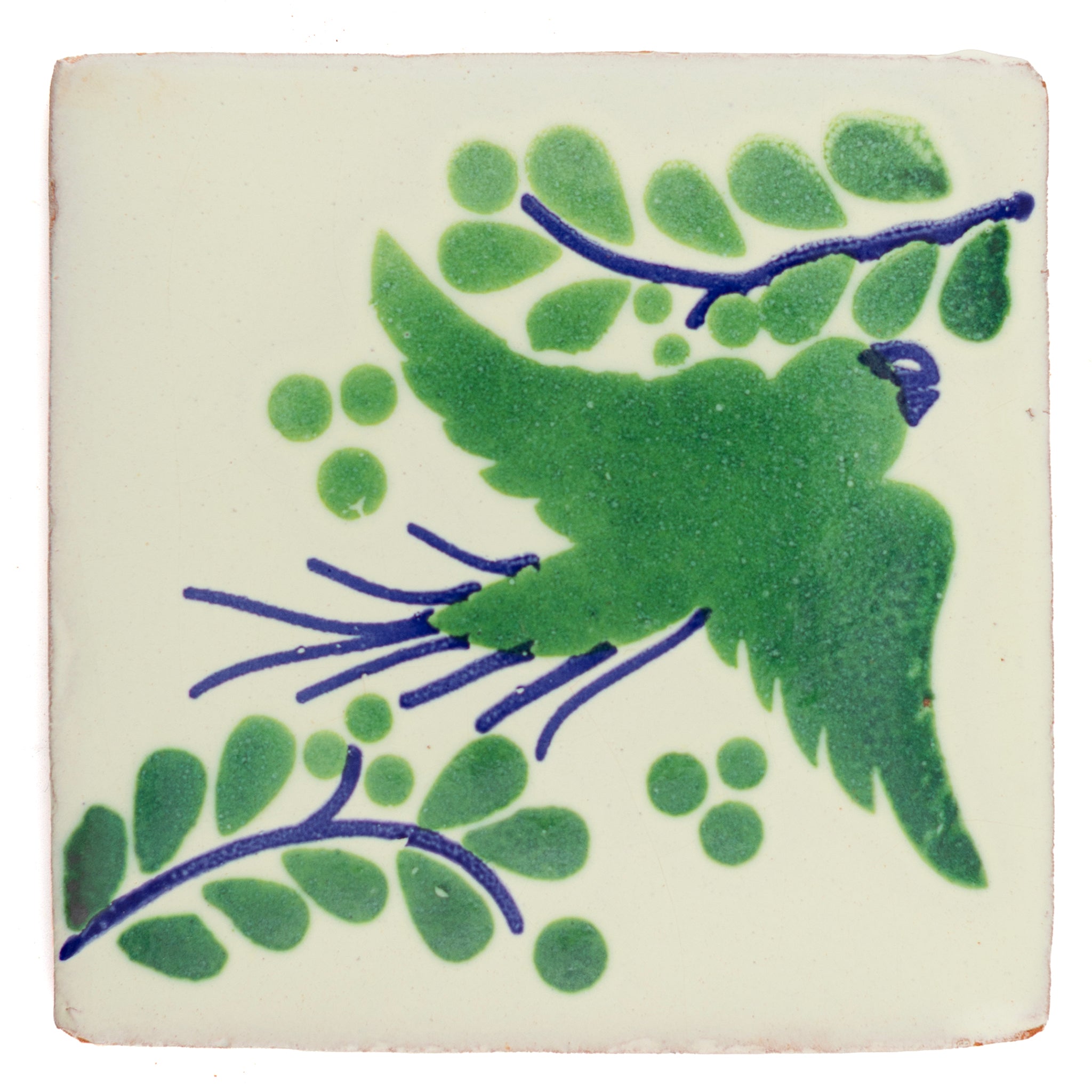 Paloma green & blue
