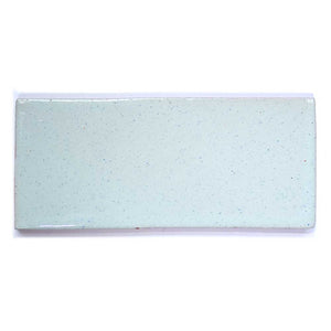 Duck egg blue metro tiles 6 x 13