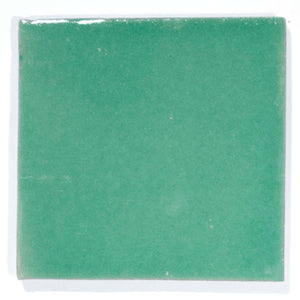 Frog Green 10.5 x 10.5cm