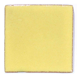 Primrose yellow 10.5 x 10.5cm