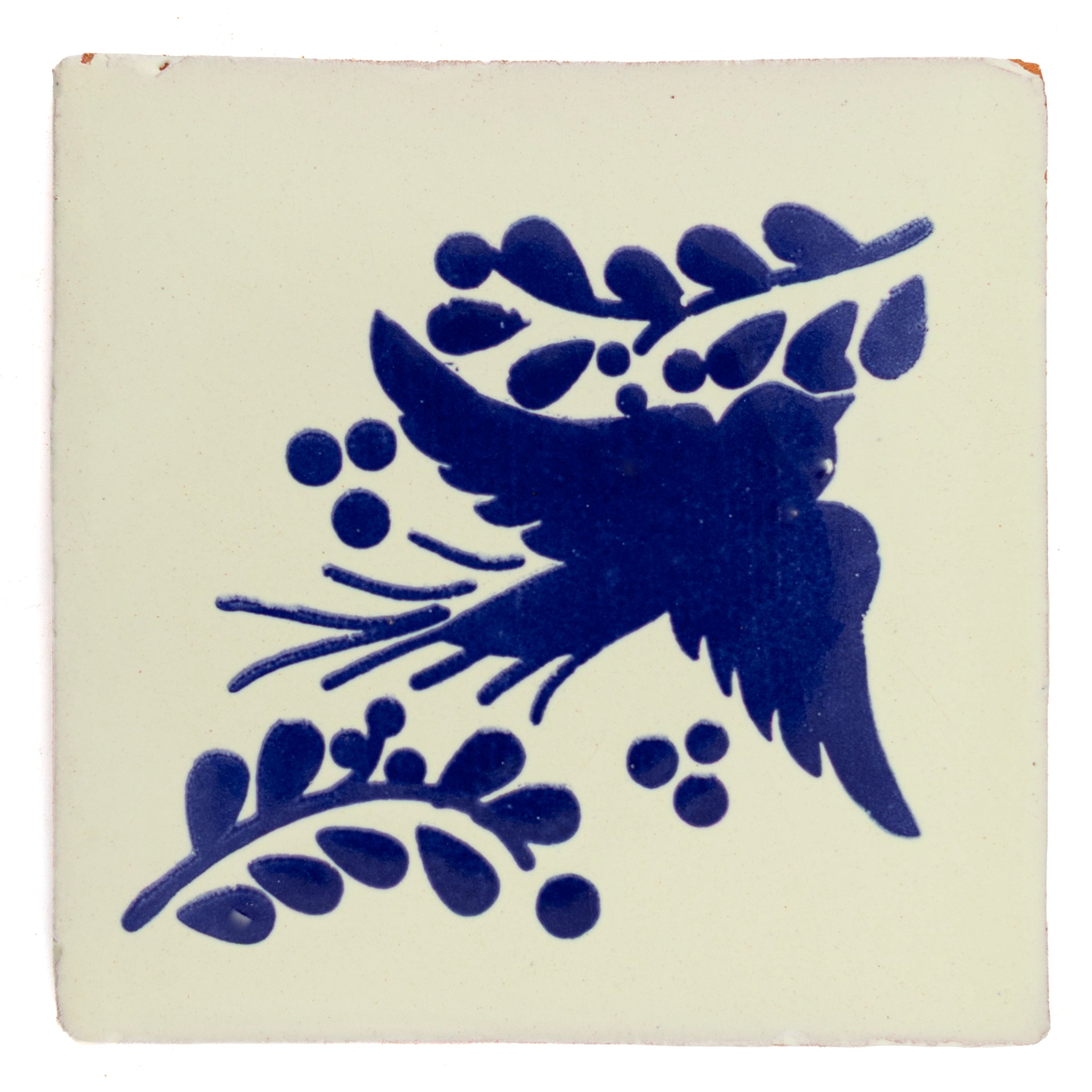 Paloma blue
