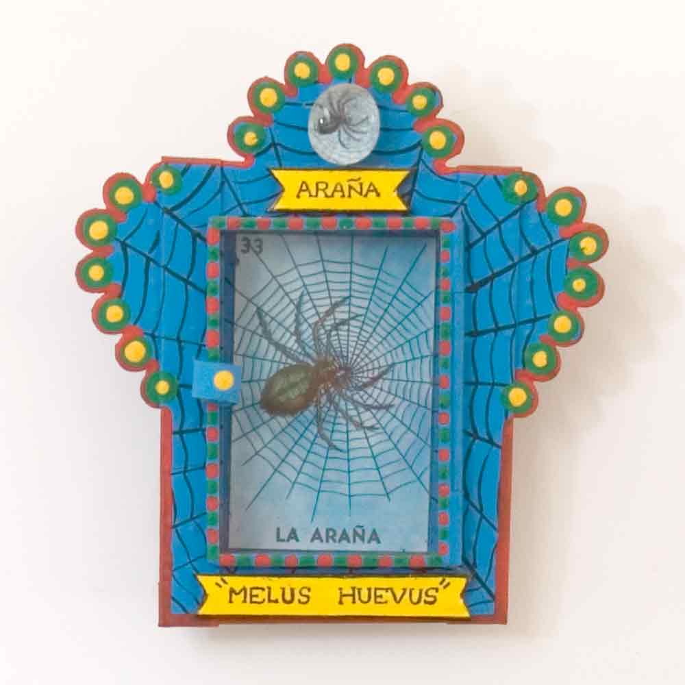 Niche Araña Melus Huevus